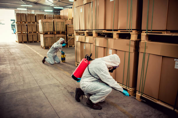 Reliable Locust Valley, NY Pest Control Solutions