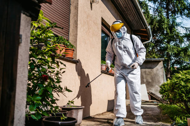 Best Cockroach Control Services  in Locust Valley, NY