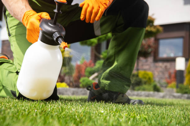 Best Ant Control Services  in Locust Valley, NY