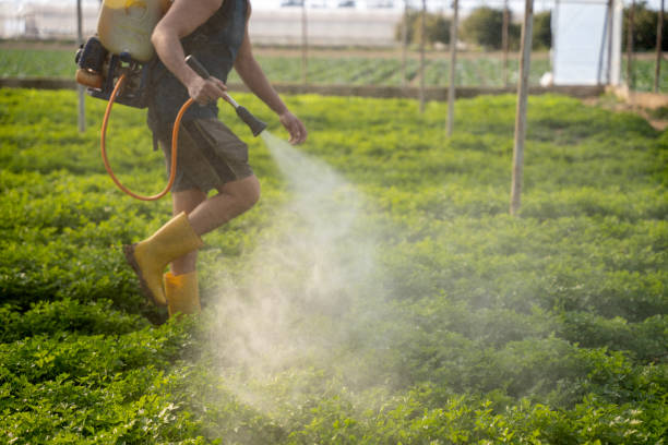Best Best Pest Control Companies  in Locust Valley, NY