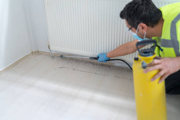 Pest Control for Restaurants in Locust Valley, NY