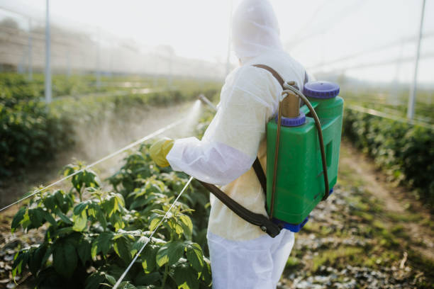 Pest Control Cost in Locust Valley, NY